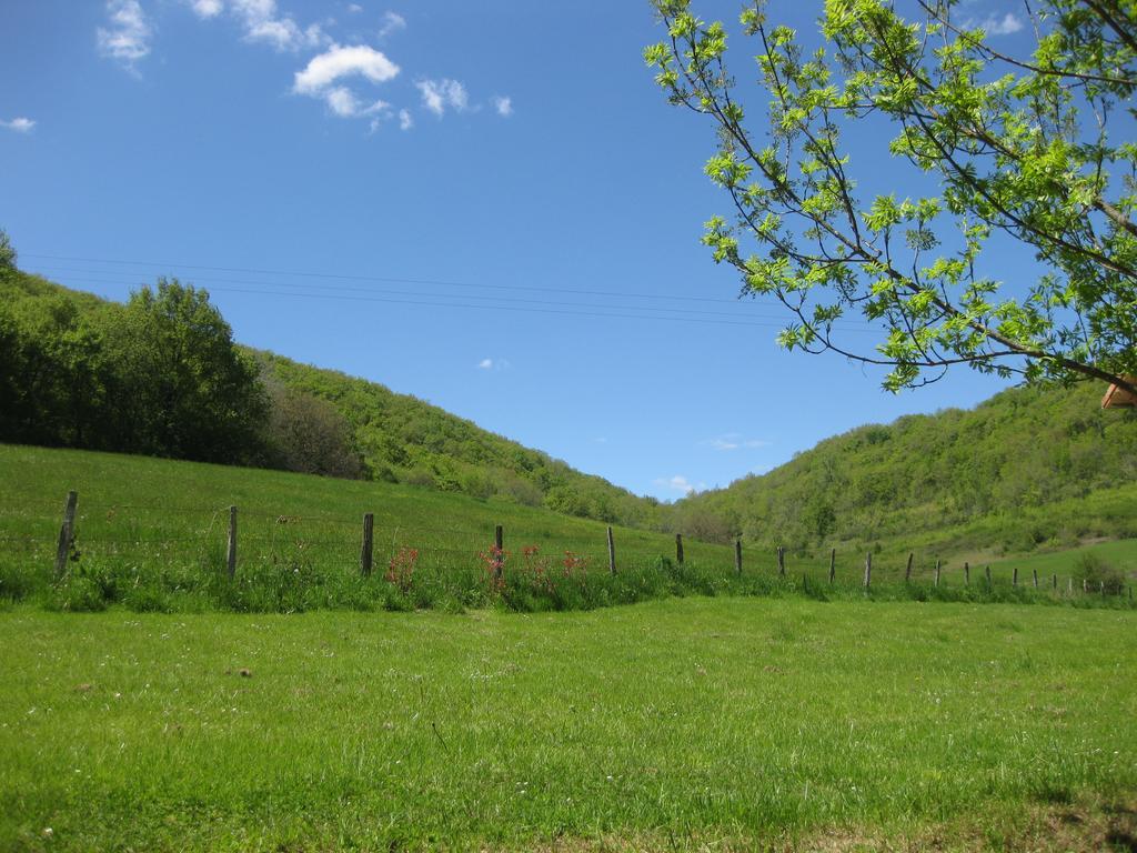 Domaine La Rose Bed & Breakfast Caylus Eksteriør bilde