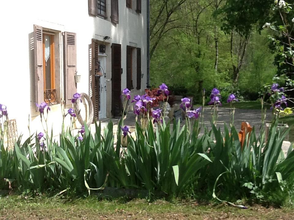 Domaine La Rose Bed & Breakfast Caylus Eksteriør bilde